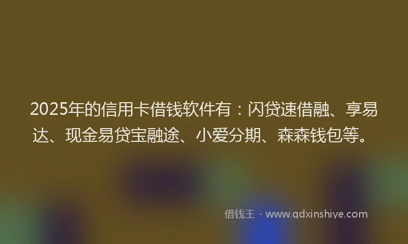 2025年的信用卡借钱软件有：闪贷速借融、享易达、现金易贷宝融途、小爱分期、森森钱包等。