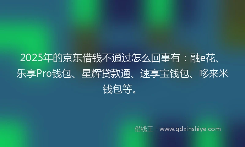 2025年的京东借钱不通过怎么回事有：融e花、乐享Pro钱包、星辉贷款通、速享宝钱包、哆来米钱包等。
