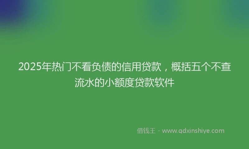 2025年热门不看负债的信用贷款，概括五个不查流水的小额度贷款软件