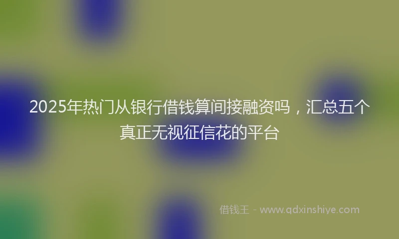 2025年热门从银行借钱算间接融资吗，汇总五个真正无视征信花的平台