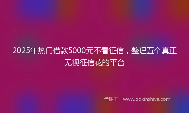 2025年热门借款5000元不看征信，整理五个真正无视征信花的平台