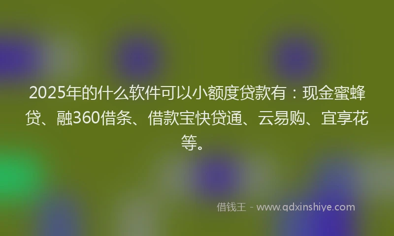 2025年的什么软件可以小额度贷款有：现金蜜蜂贷、融360借条、借款宝快贷通、云易购、宜享花等。