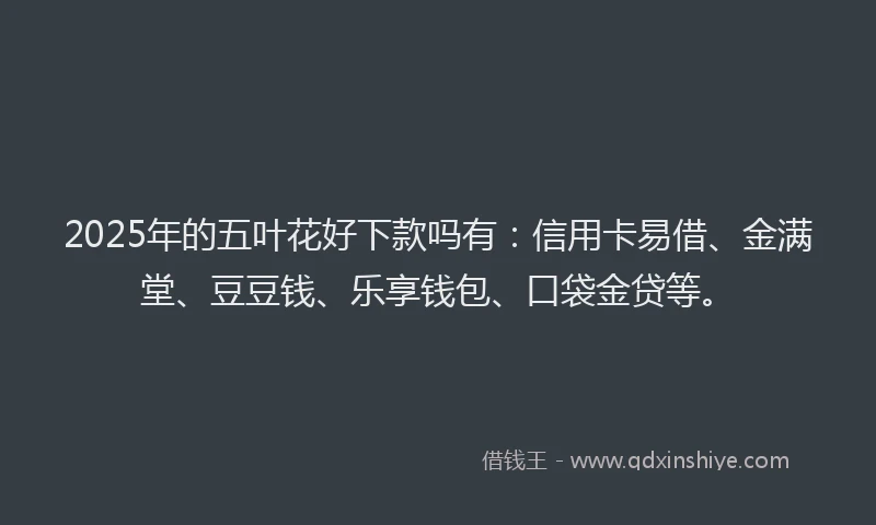 2025年的五叶花好下款吗有：信用卡易借、金满堂、豆豆钱、乐享钱包、口袋金贷等。