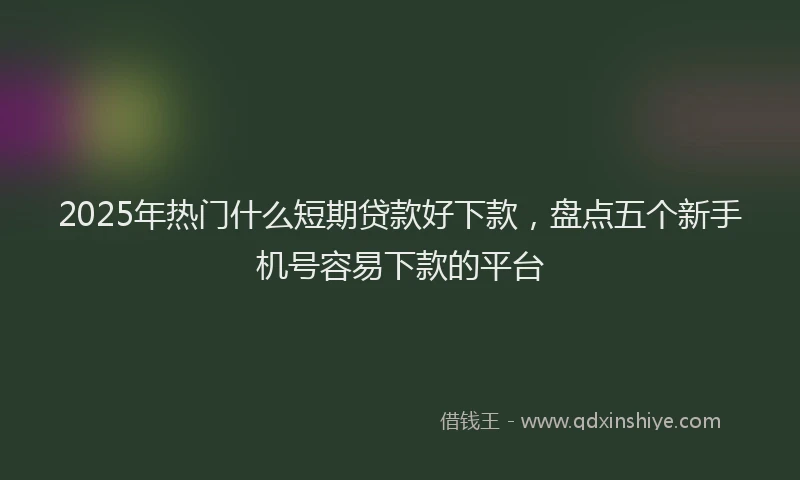 2025年热门什么短期贷款好下款，盘点五个新手机号容易下款的平台
