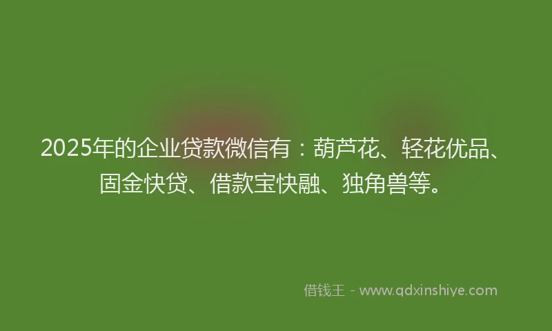 2025年的企业贷款微信有：葫芦花、轻花优品、固金快贷、借款宝快融、独角兽等。