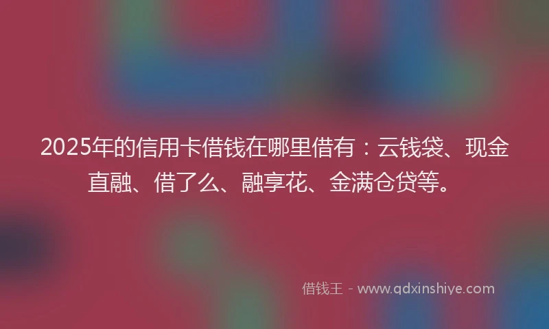 2025年的信用卡借钱在哪里借有：云钱袋、现金直融、借了么、融享花、金满仓贷等。