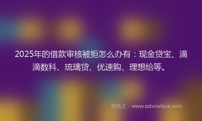 2025年的借款审核被拒怎么办有：现金贷宝、滴滴数科、琉璃贷、优速购、理想给等。