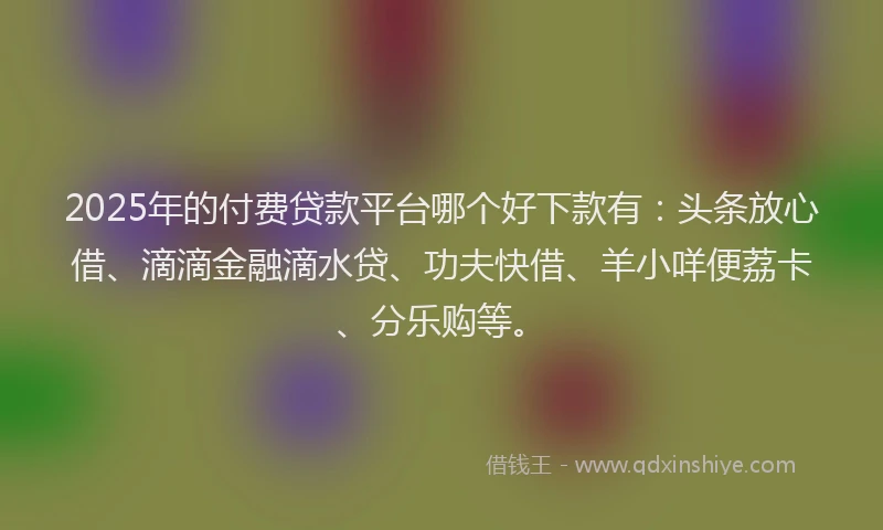 2025年的付费贷款平台哪个好下款有：头条放心借、滴滴金融滴水贷、功夫快借、羊小咩便荔卡、分乐购等。