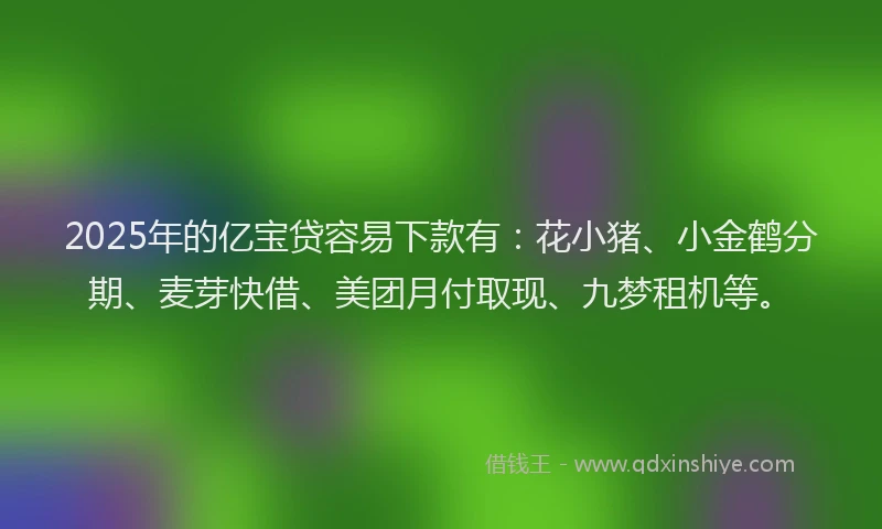 2025年的亿宝贷容易下款有：花小猪、小金鹤分期、麦芽快借、美团月付取现、九梦租机等。
