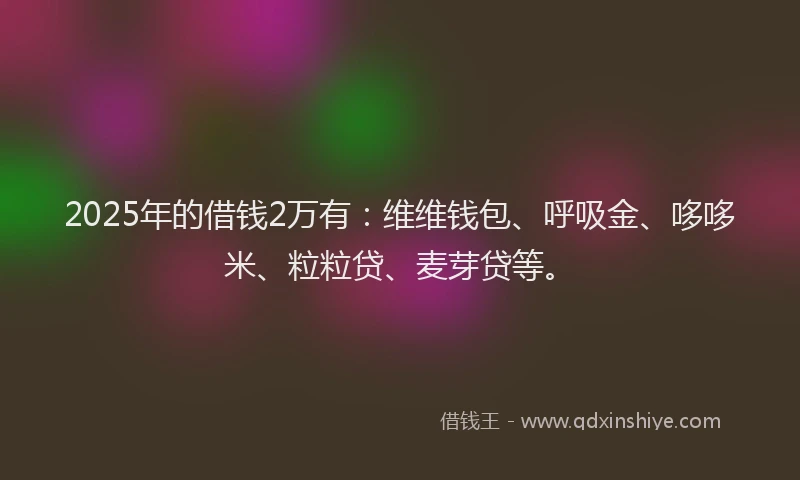 2025年的借钱2万有：维维钱包、呼吸金、哆哆米、粒粒贷、麦芽贷等。