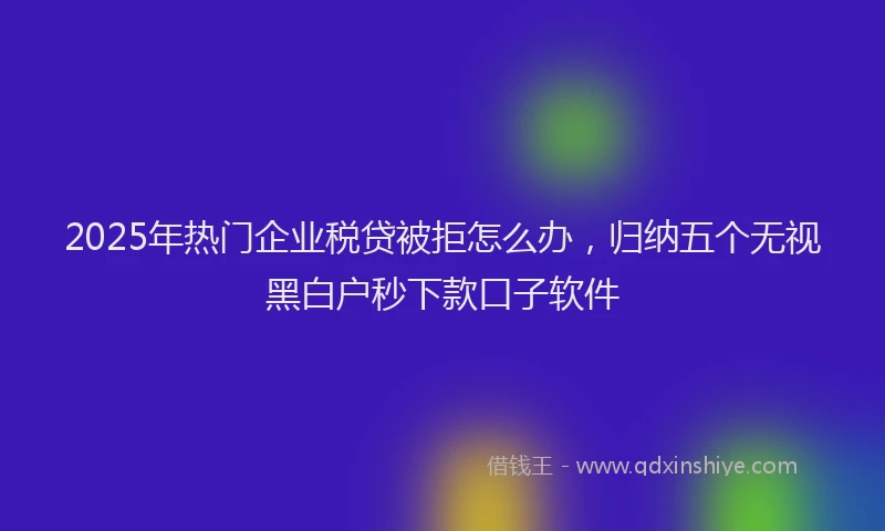 2025年热门企业税贷被拒怎么办，归纳五个无视黑白户秒下款口子软件