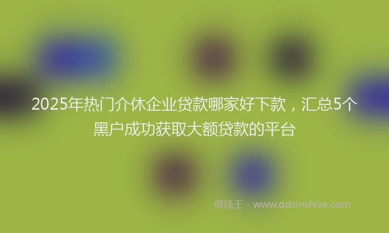 2025年热门介休企业贷款哪家好下款，汇总5个黑户成功获取大额贷款的平台