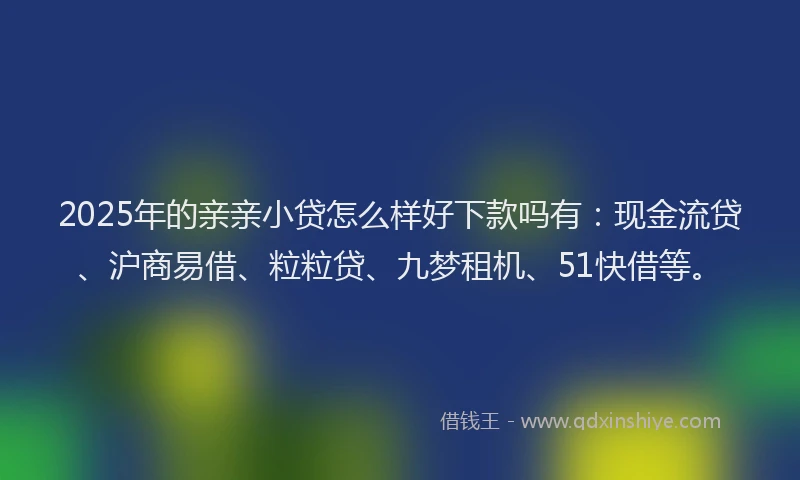 2025年的亲亲小贷怎么样好下款吗有：现金流贷、沪商易借、粒粒贷、九梦租机、51快借等。