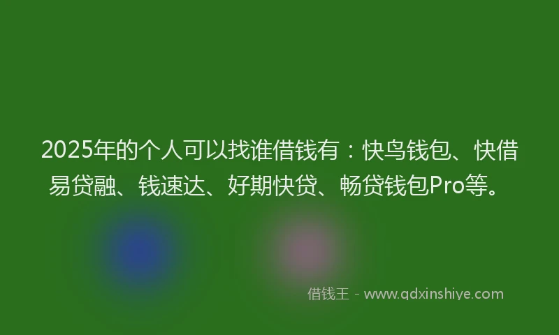 2025年的个人可以找谁借钱有：快鸟钱包、快借易贷融、钱速达、好期快贷、畅贷钱包Pro等。