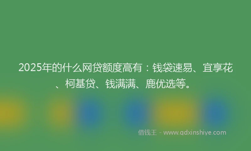 2025年的什么网贷额度高有：钱袋速易、宜享花、柯基贷、钱满满、鹿优选等。