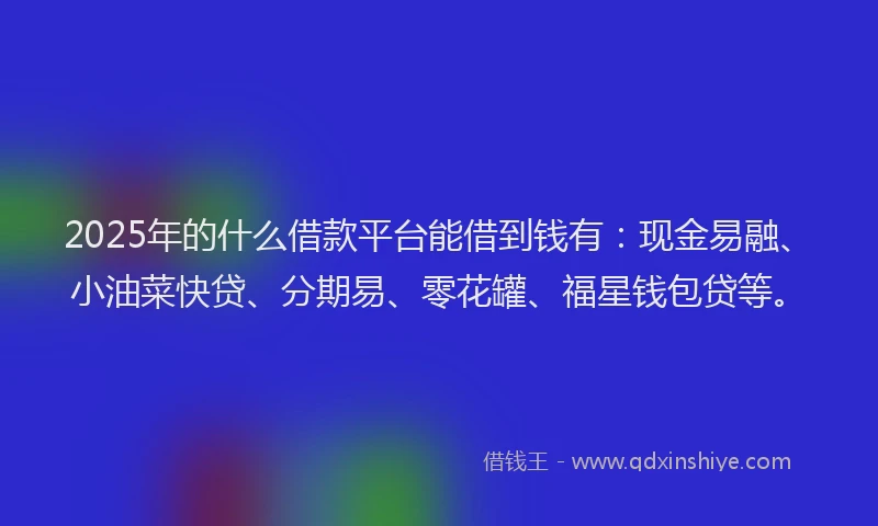 2025年的什么借款平台能借到钱有：现金易融、小油菜快贷、分期易、零花罐、福星钱包贷等。