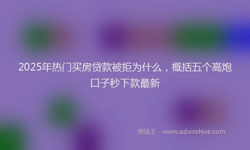 2025年热门买房贷款被拒为什么，概括五个高炮口子秒下款最新