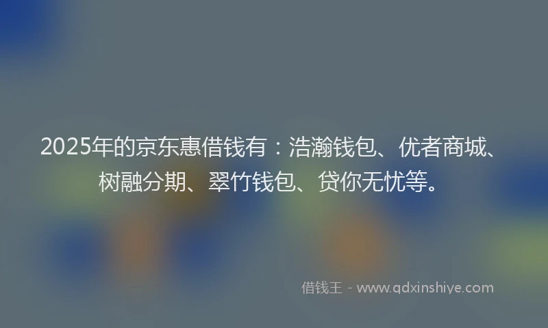 2025年的京东惠借钱有：浩瀚钱包、优者商城、树融分期、翠竹钱包、贷你无忧等。