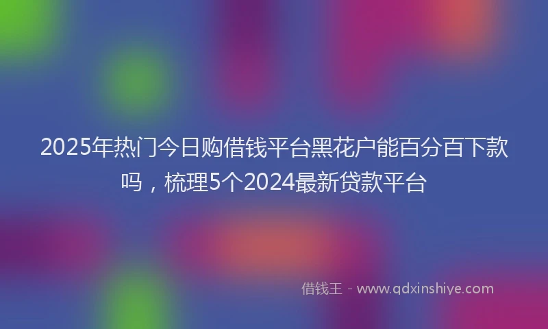 2025年热门今日购借钱平台黑花户能百分百下款吗，梳理5个2024最新贷款平台