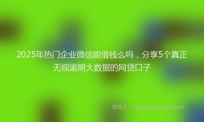 2025年热门企业微信能借钱么吗，分享5个真正无视逾期大数据的网贷口子