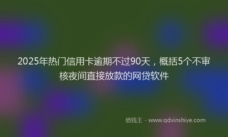 2025年热门信用卡逾期不过90天，概括5个不审核夜间直接放款的网贷软件