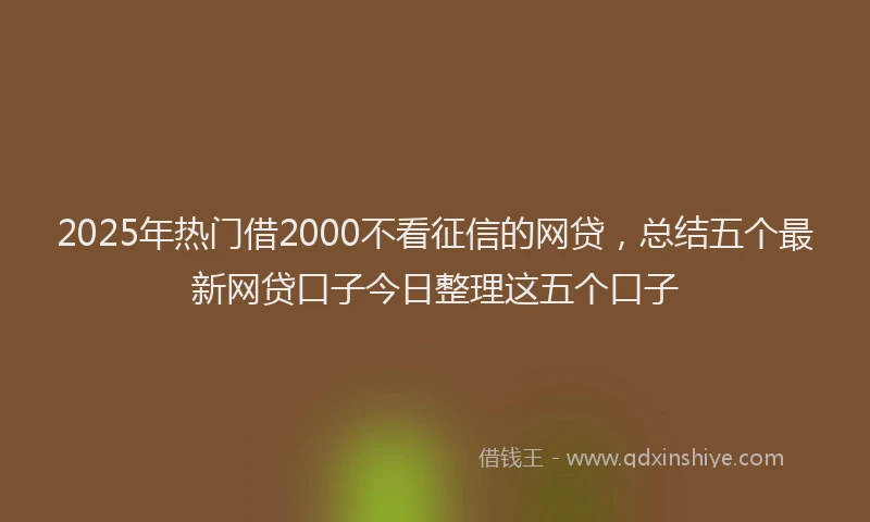 2025年热门借2000不看征信的网贷，总结五个最新网贷口子今日整理这五个口子