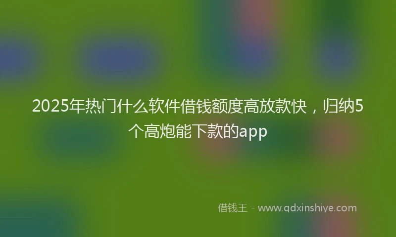 2025年热门什么软件借钱额度高放款快，归纳5个高炮能下款的app