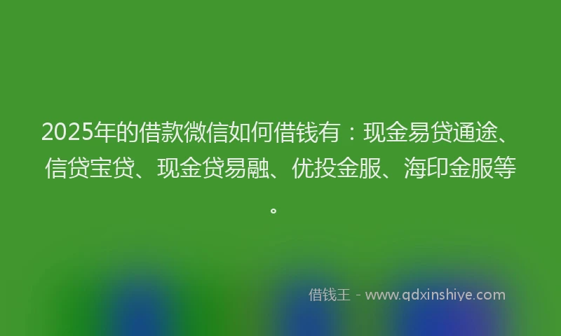 2025年的借款微信如何借钱有：现金易贷通途、信贷宝贷、现金贷易融、优投金服、海印金服等。