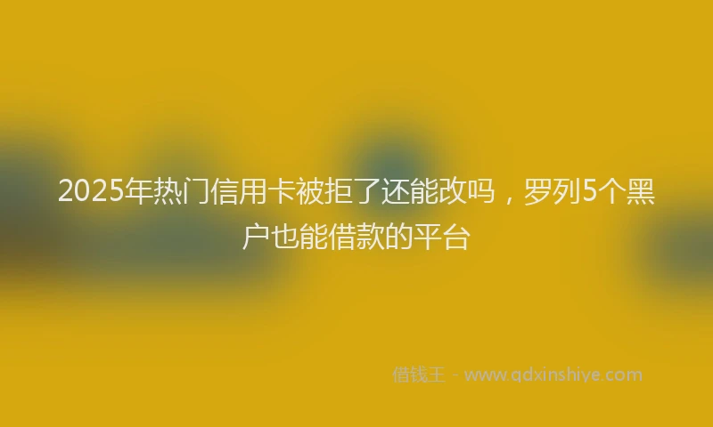 2025年热门信用卡被拒了还能改吗，罗列5个黑户也能借款的平台