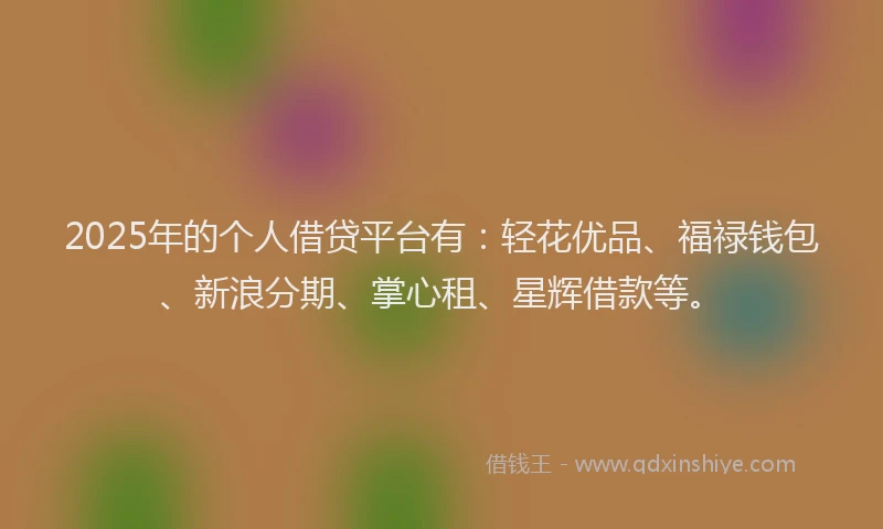 2025年的个人借贷平台有：轻花优品、福禄钱包、新浪分期、掌心租、星辉借款等。