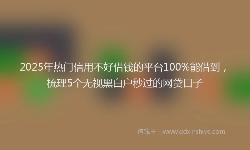 2025年热门信用不好借钱的平台100%能借到，梳理5个无视黑白户秒过的网贷口子
