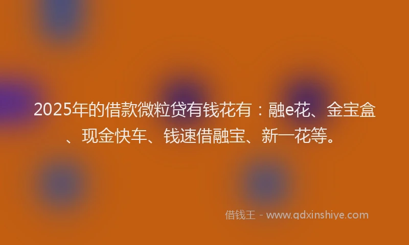 2025年的借款微粒贷有钱花有：融e花、金宝盒、现金快车、钱速借融宝、新一花等。