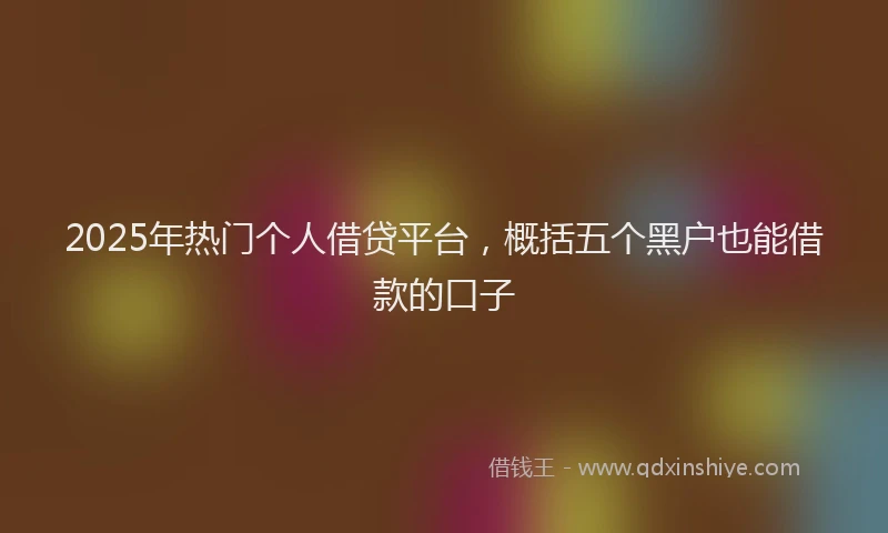 2025年热门个人借贷平台，概括五个黑户也能借款的口子