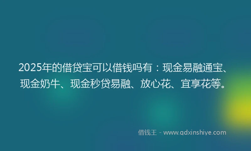 2025年的借贷宝可以借钱吗有：现金易融通宝、现金奶牛、现金秒贷易融、放心花、宜享花等。