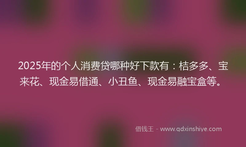 2025年的个人消费贷哪种好下款有：桔多多、宝来花、现金易借通、小丑鱼、现金易融宝盒等。