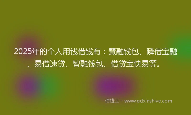 2025年的个人用钱借钱有：慧融钱包、瞬借宝融、易借速贷、智融钱包、借贷宝快易等。