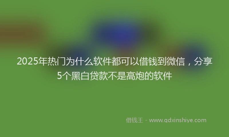 2025年热门为什么软件都可以借钱到微信，分享5个黑白贷款不是高炮的软件