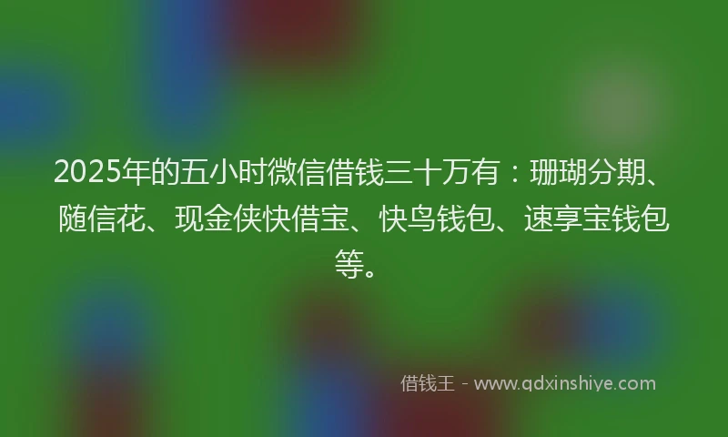 2025年的五小时微信借钱三十万有：珊瑚分期、随信花、现金侠快借宝、快鸟钱包、速享宝钱包等。
