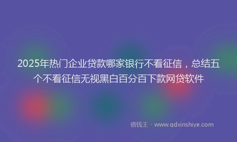 2025年热门企业贷款哪家银行不看征信，总结五个不看征信无视黑白百分百下款网贷软件