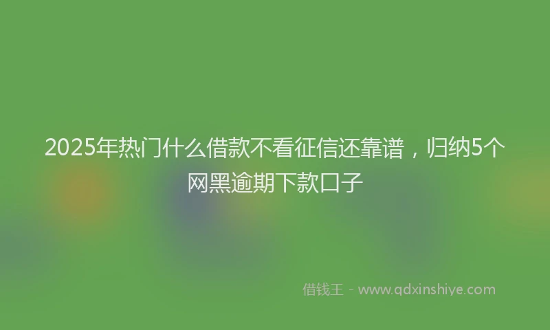 2025年热门什么借款不看征信还靠谱，归纳5个网黑逾期下款口子