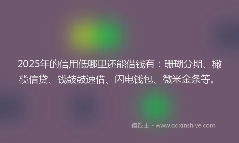 2025年的信用低哪里还能借钱有：珊瑚分期、橄榄信贷、钱鼓鼓速借、闪电钱包、微米金条等。