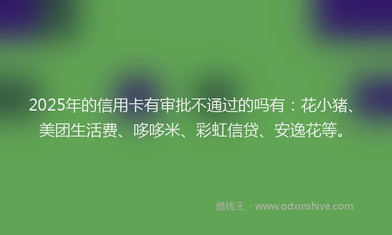 2025年的信用卡有审批不通过的吗有：花小猪、美团生活费、哆哆米、彩虹信贷、安逸花等。