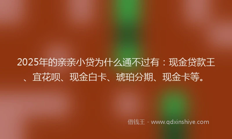 2025年的亲亲小贷为什么通不过有：现金贷款王、宜花呗、现金白卡、琥珀分期、现金卡等。