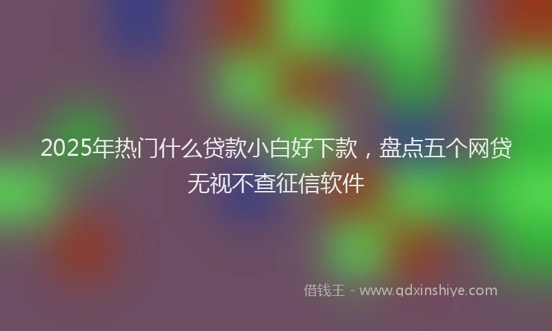 2025年热门什么贷款小白好下款，盘点五个网贷无视不查征信软件
