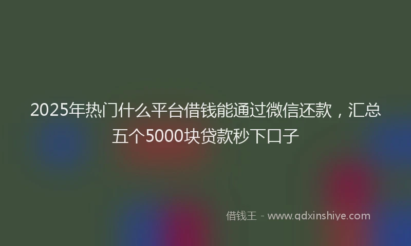 2025年热门什么平台借钱能通过微信还款，汇总五个5000块贷款秒下口子