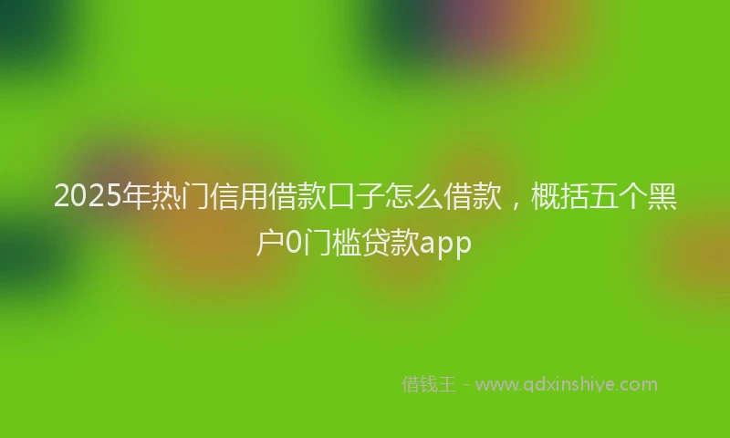2025年热门信用借款口子怎么借款，概括五个黑户0门槛贷款app