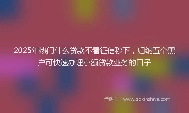 2025年热门什么贷款不看征信秒下，归纳五个黑户可快速办理小额贷款业务的口子