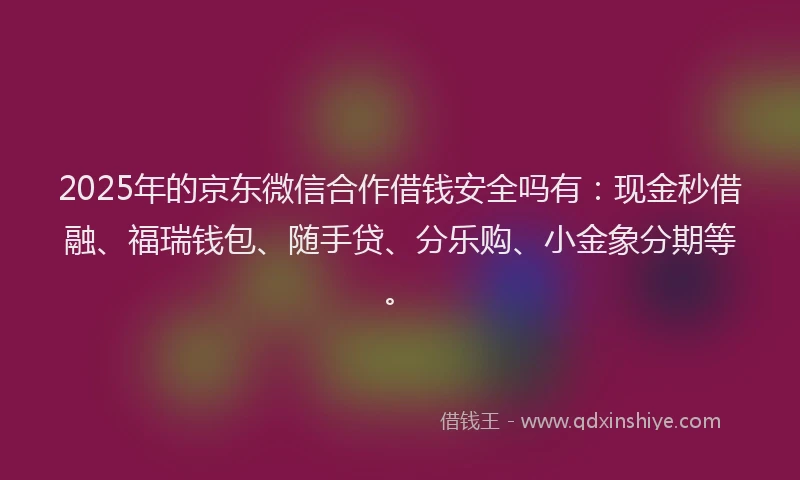2025年的京东微信合作借钱安全吗有：现金秒借融、福瑞钱包、随手贷、分乐购、小金象分期等。