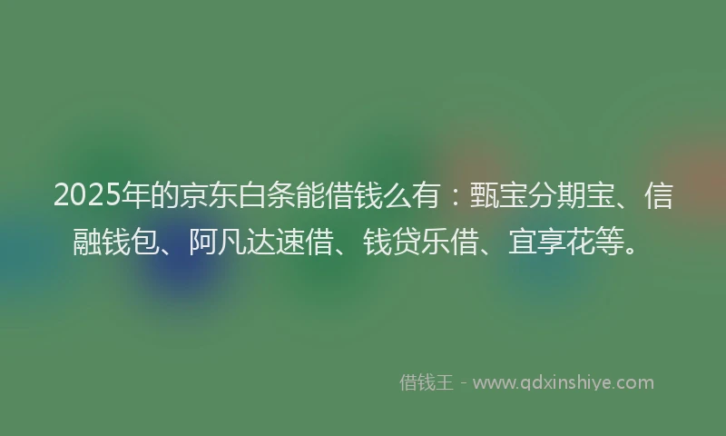 2025年的京东白条能借钱么有：甄宝分期宝、信融钱包、阿凡达速借、钱贷乐借、宜享花等。