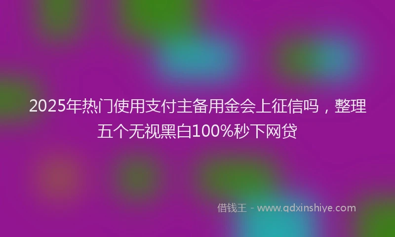2025年热门使用支付主备用金会上征信吗，整理五个无视黑白100%秒下网贷